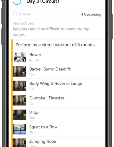 Demetz Personal Training Mobile App Example Workout Screenshot